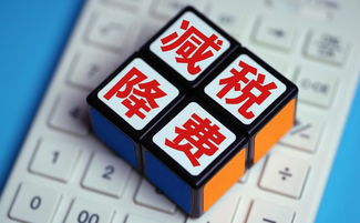 科技部加快中小企业创新 研发直接支持与技术转让助力企业发展