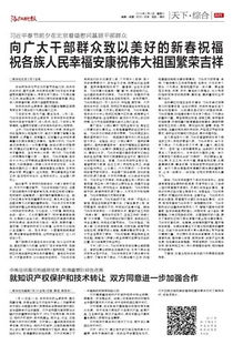 深化知识产权保护与技术转让合作，共筑创新发展新格局